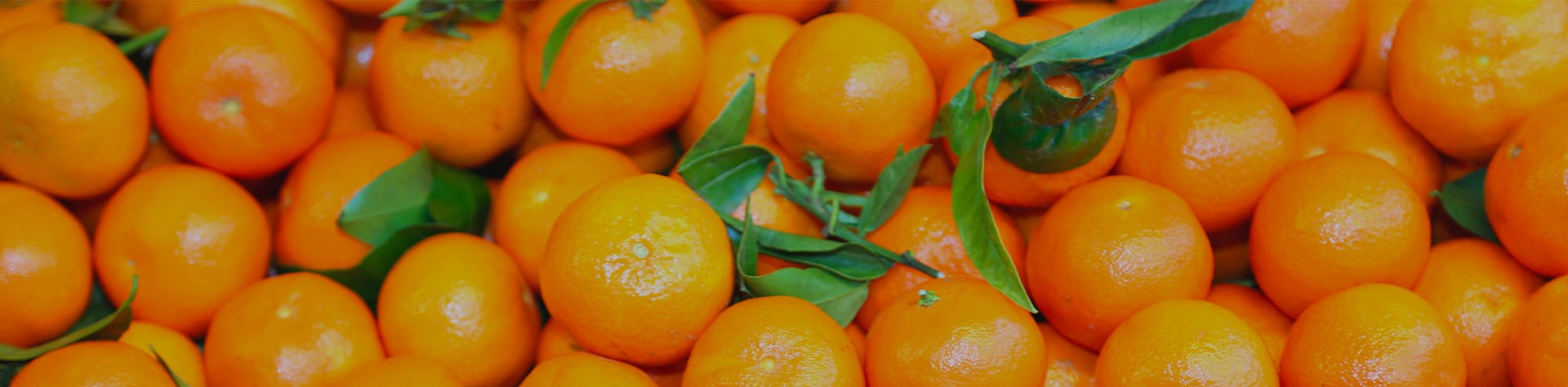 La clementine